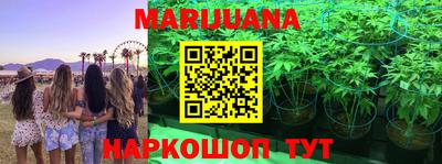 альфа пвп Славгород