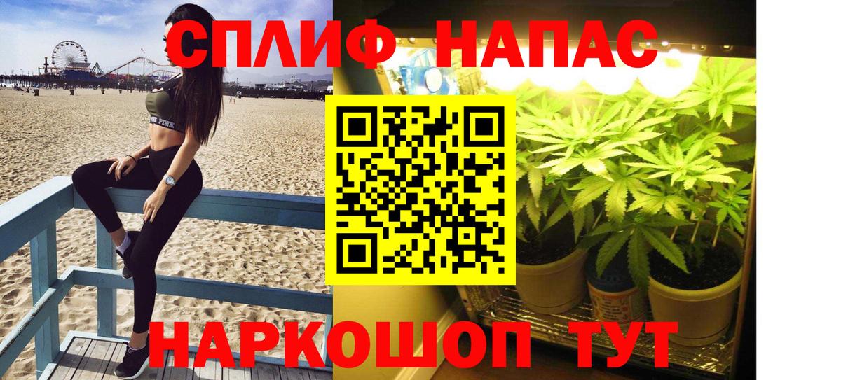 МАРИХУАНА планчик Острогожск